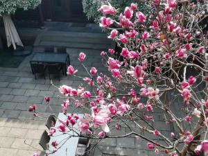 Φωτογραφία από το άλμπουμ του Blossom House Suzhou Tanhuafu στο Σουτσόου