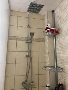 a shower with a shower head in a bathroom at Stefania's house in Agia Effimia +25 photos