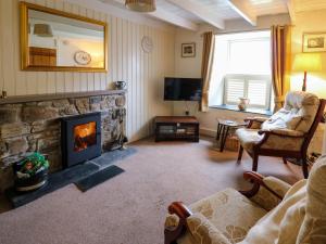 a living room with a fireplace and a television at Panteg Cottage, Newport in Newport Pembrokeshire