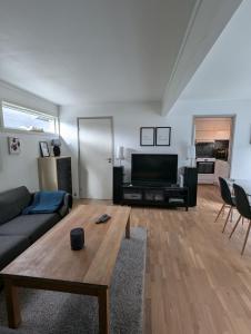 スタヴァンゲルにあるSentrumsnær leilighetのソファとテレビのあるリビングルーム