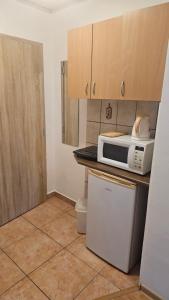 a kitchen with a microwave on top of a counter at Apartmány Súľov 183 in Súľov