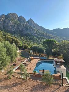 a large swimming pool with mountains in the background at Appartement Jardin et Piscine Les anges du maquis location Corse-du-Sud in Conca