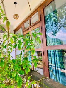 Zahrada ubytování Dream Mount Villa