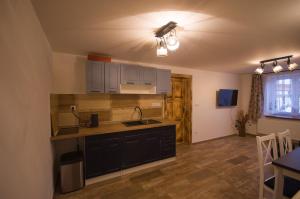 a kitchen with a sink and a counter top at Statek DĚRAVÁ BOTA in Benešov nad Černou