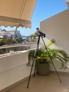 a camera on a tripod next to a plant at Anastasia Suite/byArtistUnknown in Vari