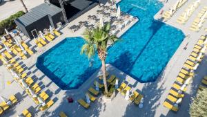 an overhead view of a pool with chairs and a palm tree at Sundia By Liberty Oludeniz in Oludeniz