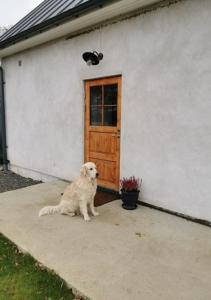 Afbeelding uit fotogalerij van Unik lägenhet nära Helsingborg Centrum in Helsingborg +8 foto's