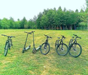 a group of bikes parked in a field at Pensiunea Fira in Baia de Fier