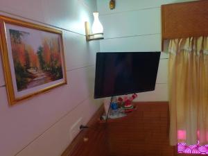 TV a/nebo společenská místnost v ubytování Sunbirds Premium House Boat at Alleppey Backwaters Kerala