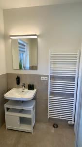 a bathroom with a white sink and a mirror at App3- SD26 Paloma-G in Friedrichskoog
