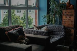 a couch sitting in a living room with a window at Garden Lane Backpackers in Dublin
