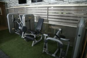 a row of cardio machines in a gym at Grape Village Hotel in Amman