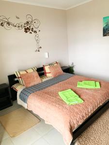 Postel nebo postele na pokoji v ubytování Ozone minihotel