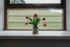 Fotografie z fotogalerie ubytování Old Sunday School, Garrigill v destinaci Garrigill + 5 fotografií