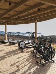 Фитнес-центр и/или тренажеры в Santo Mine Oia Suites
