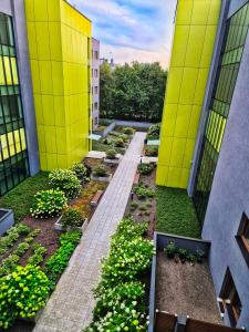 Vonkajšia záhrada v ubytovaní TK Apartments Grabiszyńska