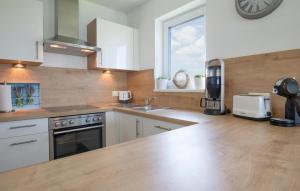 a kitchen with a sink and a counter top at Vogelvilla in Olpenitz