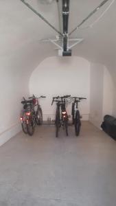 Jazda na bicykli v okolí ubytovania Apartments 4 in the historic part of Znojmo