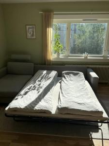 a couch and a bed in a living room at Popular area, central, 55m2, 1-4 guests in Oslo