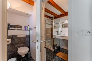 un baño con inodoro y lavabo en Maison Océlandes, en Saint-Julien-en-Born 16 fotos más