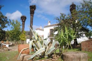 Gallery image of Cortijo San Rafael in Constantina