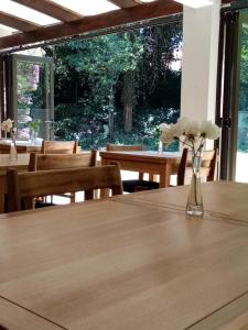 Fotografie z fotogalerie ubytování No 66 Sandton Lodge v destinaci Johannesburg