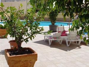Bazén v ubytovaní Cozy Holiday Studio Palmeras - WiFi, AC, Pool alebo v jeho blízkosti