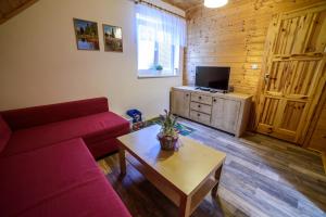 TV a/nebo společenská místnost v ubytování Prázdninový dům - Apartmány Vltavice