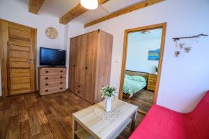 TV a/nebo společenská místnost v ubytování Prázdninový dům - Apartmány Vltavice + 37 fotografií