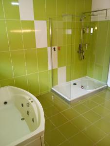 Koupelna v ubytování New Spacious Villa!