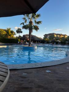 a large swimming pool with a palm tree in the middle at Paraíso in Cumbuco