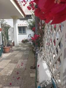 Balkón nebo terasa v ubytování B&B Raggi d'Ischia + 1 fotografie