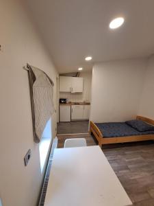 a small room with a bed and a kitchen at Monteurzimmer - Ferien Wohnungen Leipzig - Sandersdorf-Brehna in Deutsches Haus