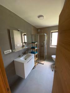 Apartma PRI ŠTAJERKI的一间浴室