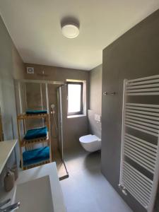 Apartma PRI ŠTAJERKI的一间浴室