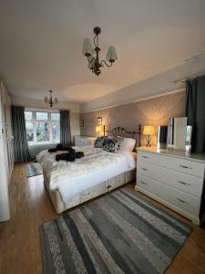a bedroom with a large bed and a chandelier at Mumbles Seaside sleeps up 11 Pets allowed in Swansea