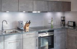 a kitchen with stainless steel cabinets and a sink at B-Lodge in Olpenitz +14 photos