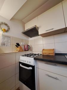 Kuchyň nebo kuchyňský kout v ubytování Vila Harmónia