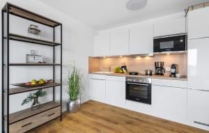 Kuchyň nebo kuchyňský kout v ubytování Goldfisch