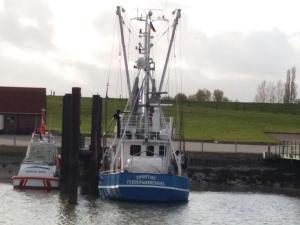 two boats are docked in the water at Ferienwohnung Nordseetraum in Tossenserdeich