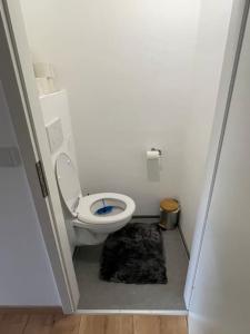 a bathroom with a toilet in a small room at RR-Rooms Ferienwohnung in Judenburg