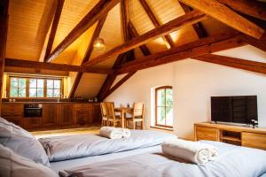 Μια τηλεόραση ή/και κέντρο ψυχαγωγίας στο Apartmány Temechov