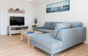 a living room with a blue couch and a tv at Windrose in Olpenitz