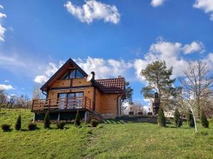 una casa in legno su una collina in un campo di Planinska kuća Rabas a Bajina Bašta