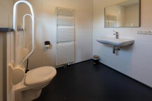 a bathroom with a toilet and a sink at Waterdorp Burdaard in Burdaard