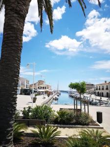 a palm tree sitting next to a body of water at Les planètes du port in Marseillan