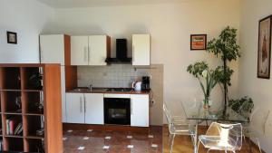 Kuchyň nebo kuchyňský kout v ubytování Luxurious Djuran Apartment