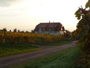 Gallery image of Maison d'hôtes Les Feuilles d'Or in Eichhoffen