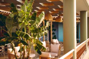Fotografie z fotogalerie ubytování Ananda Apartments v destinaci Skafidia