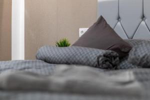 Larina Residence 1088 Budapest, Szentkirályi utca 6 kép - 2